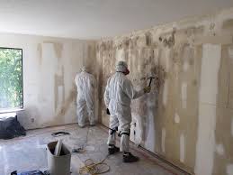 Mold Documentation for Insurance Claims in Jarales, NM